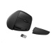 HP 920 Ergonomic Wireless Mouse - bezdrátová ergonomická myš