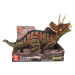 Triceratops model