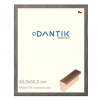 DANTIK rámeček 40 × 50, KASSETTE tmavěšedý sklo čiré