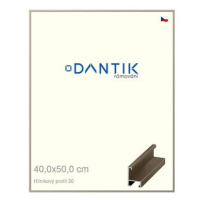 DANTIK rámeček 40 × 50, ALU profil 6030 champagne sklo čiré