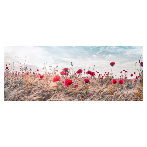 Obraz na plátně Styler Poppies, 60 x 150 cm