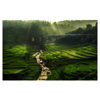 Fotografie Crossing The Beautiful Bridge, Ismail	raja sulbar, 40x24.6 cm