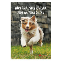 Australský ovčák jede na prázdniny