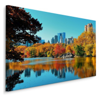 Plátno Central Park Na Podzim Varianta: 40x30