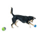 PetSafe® Ricochet elektronická hračka pro psa