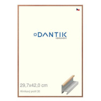 DANTIK rámeček 29,7 × 42, ALU profil 6030 Dýha dub lak matný plexi čiré