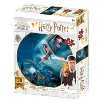 Puzzle 3D Harry a Ron let nad Bradavicemi 300 dílků