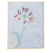 Obrazová reprodukce Lily, after 1921, Mondrian, Piet, 30x40 cm