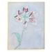 Mondrian, Piet - Obrazová reprodukce Lily, after 1921, (30 x 40 cm)