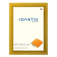 DANTIK rámeček 29,7 × 42, LEDVINKA žlutý plexi čiré