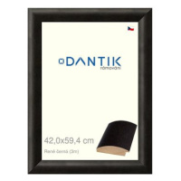 DANTIK rámeček 42 × 59,4, René černý plexi čiré