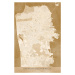 Mapa Map of San Francisco Peninsula in sepia vintage style, Blursbyai, 26.7x40 cm