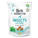 Brit Care Dog Insects with Tuna & Mint funkční pamlsky 200g