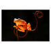 Fotografie Tree Frog, Abdul Gapur Dayak, 40x26.7 cm