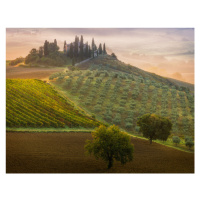Ilustrace Tuscany, Adrian Popan, 40x30 cm
