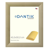 DANTIK rámeček 40 × 50, René bílý plexi čiré