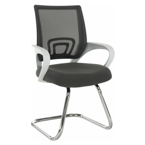 Zasedací židle šedá/bílá, Sanaz TYP 3 Tempo Kondela