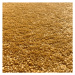 Vopi koberce Kusový koberec Eton Exklusive žlutý čtverec - 80x80 cm