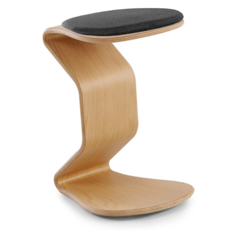 Mayer Balanční stolička ERCOLINO MEDIUM 1116 96