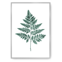 Dekoria Plakát Fern Emerald Green, 21 x 30 cm, Ramka: Srebrna