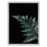 Dekoria Plakát Dark Fern Leaf, 50 x 70 cm, Volba rámku: Stříbrný