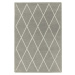 Šedý ručně tkaný vlněný koberec 160x230 cm Albany – Asiatic Carpets