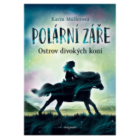 Polární záře Ostrov divokých koní