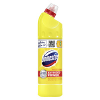 Domestos Extended Power Citrus 750 ml