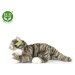 Plyšová mourovatá kočka šedá 40 cm ECO-FRIENDLY