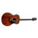 Takamine GLN11E - Natural Satin