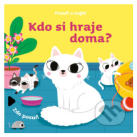 Kdo si hraje doma? - kniha z kategorie Beletrie pro děti