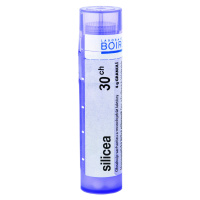 BOIRON Silicea CH30 granule 4 g