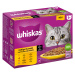 Whiskas 1+ Adult Multipack kapsičky 12 x 85 g / 100 g - drůbeží výběr v omáčce (12 x 85 g)