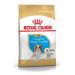 Royal Canin breed kavalír king charles junior 1,5kg