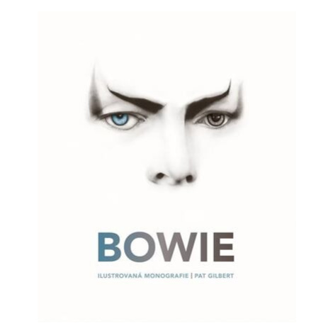 Bowie - Ilustrovaná monografie Slovart