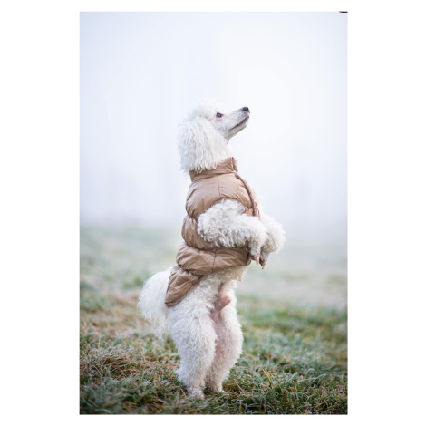 Vsepropejska Warm zimní bunda pro psa s kožichem Barva: Béžová, Délka zad (cm): 30, Obvod hrudní