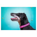 Vsepropejska Cubo obojek pro psa s vodítkem | 32 – 56 cm Barva: Růžová, Obvod krku: 32 - 52 cm, 