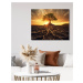 Obrazy na stěnu - Strom s kořeny při západu slunce Rozměr: 40x50 cm, Rámování: vypnuté plátno na