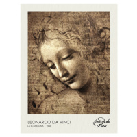 Obrazová reprodukce La Scapigliata (1506), Leonardo da Vinci, 30 × 40 cm