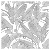 Dekornik Tapeta velké palmové listy černo bílá 280×100cm
