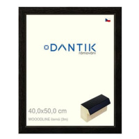 DANTIK rámeček 40 × 50, WOODLINE černý sklo čiré