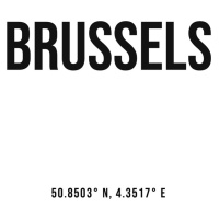 Ilustrace Brussels simple coordinates, Finlay & Noa, (30 x 40 cm)