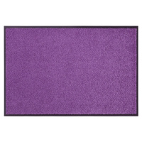 Hanse Home Collection koberce Rohožka Wash & Clean 103838 Violett Rozměry koberců: 40x60