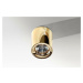 LED Stropní bodové přisazené svítidlo AZzardo Mane gold AZ2846 10W 850lm 3000K IP20 8cm zlaté