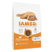 IAMS Cat Kitten Chicken 10 kg