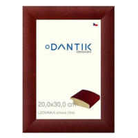 DANTIK rámeček 20 × 30, LEDVINKA vínový sklo čiré