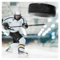 Fotografie Puck shot by Ice hockey player, Bernhard Lang, 40x40 cm