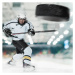Fotografie Puck shot by Ice hockey player, Bernhard Lang, (40 x 40 cm)