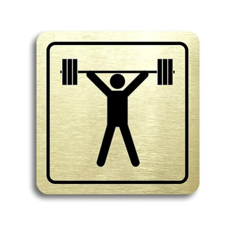 Accept Piktogram "fitness VI" (80 × 80 mm) (zlatá tabulka - černý tisk)