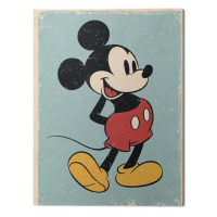 Obraz na plátně Mickey Mouse - Retro, 2 - 40×50 cm